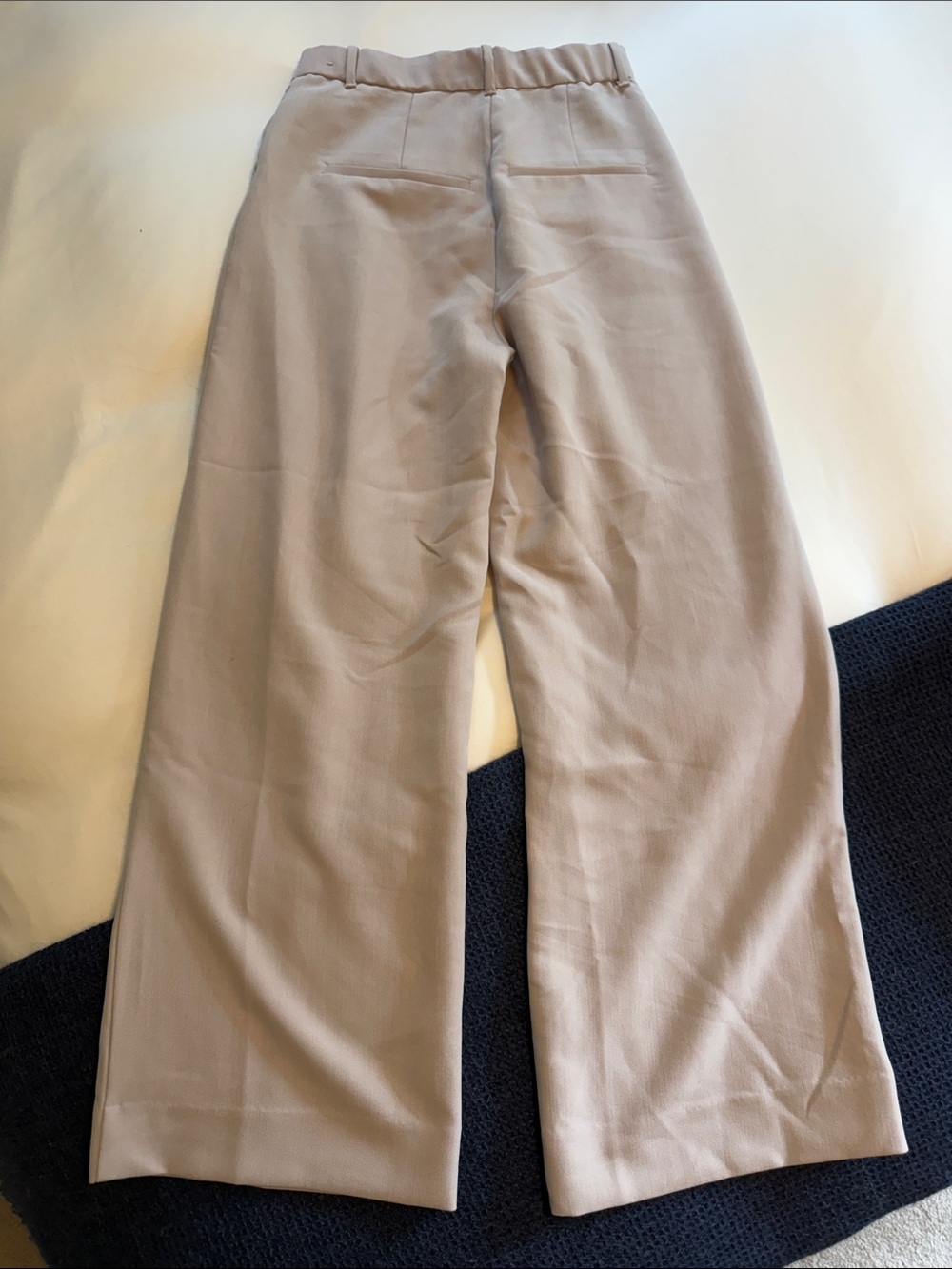Abercrombie & Fitch High-Rise Pleated Wide-Leg Trousers in Light Taupe - Picture 5 of 7